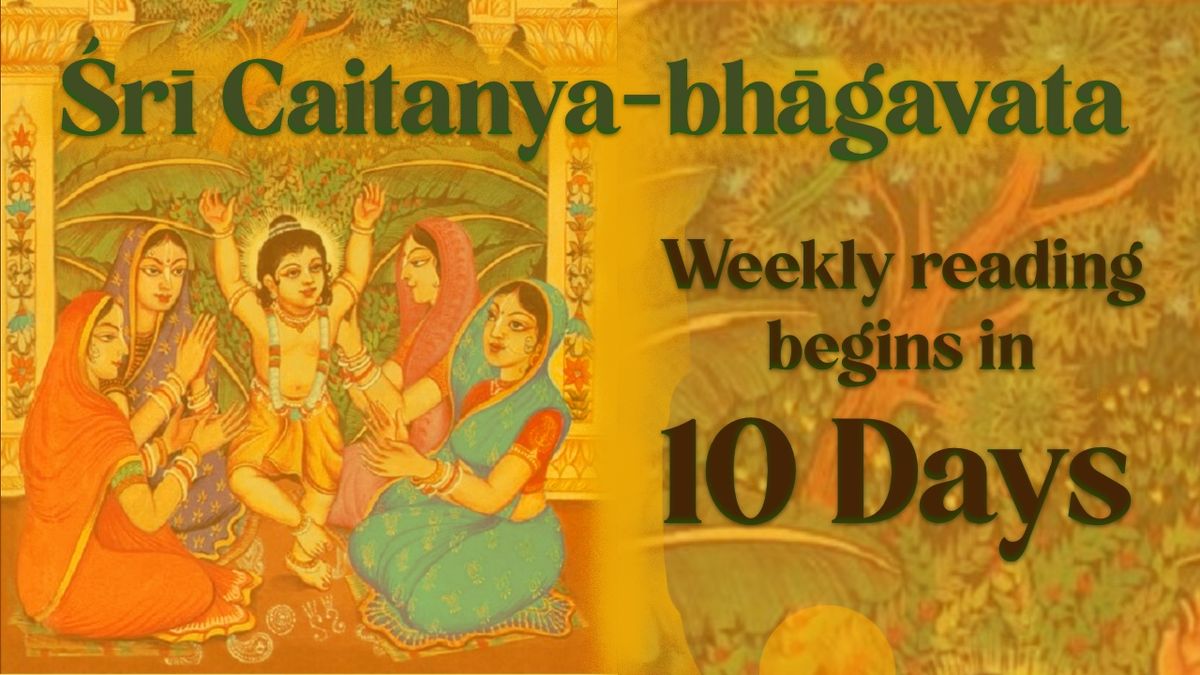 Beginning Caitanya-bhāgavata in ten days (16 May)